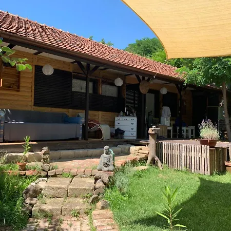 Gong Fahaz - * Еґер