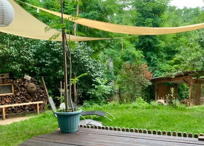 Gong Fahaz - * 埃格尔